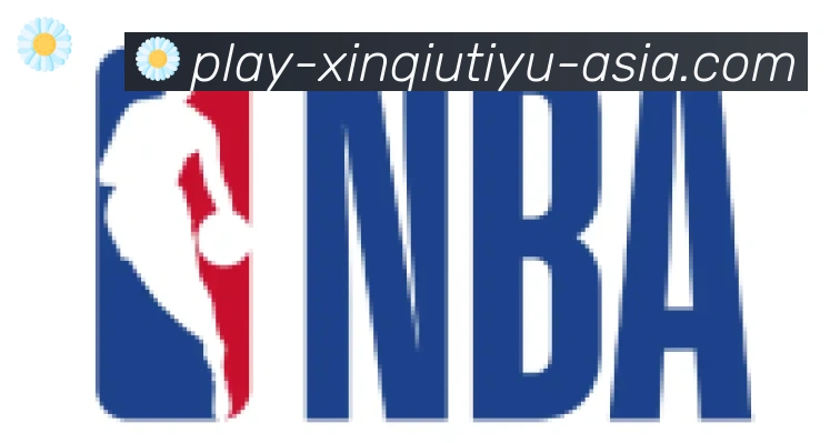 新球体育合作伙伴