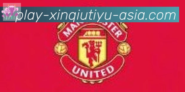新球体育合作伙伴